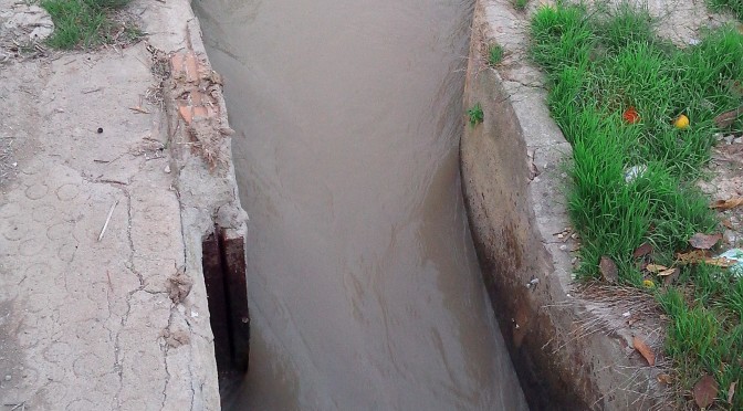 CONVOCATORIA A JUNTAMENTO DE LA ACEQUIA DEL RAAL VIEJO